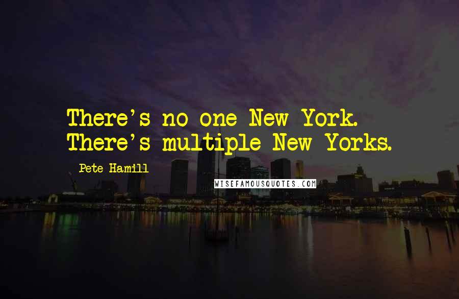 Pete Hamill quotes: There's no one New York. There's multiple New Yorks.