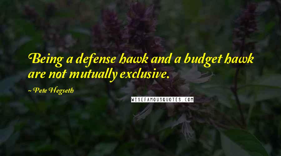 Pete Hegseth quotes: Being a defense hawk and a budget hawk are not mutually exclusive.