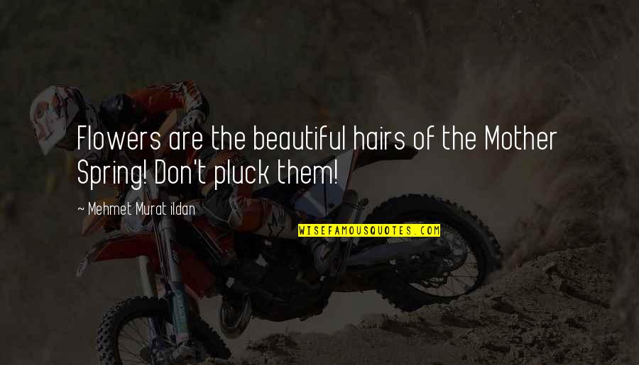 Pete Meaden Quotes By Mehmet Murat Ildan: Flowers are the beautiful hairs of the Mother Pete Meaden Quotes By Mehmet Murat Ildan: Flowers are the beautiful hairs of the Mother