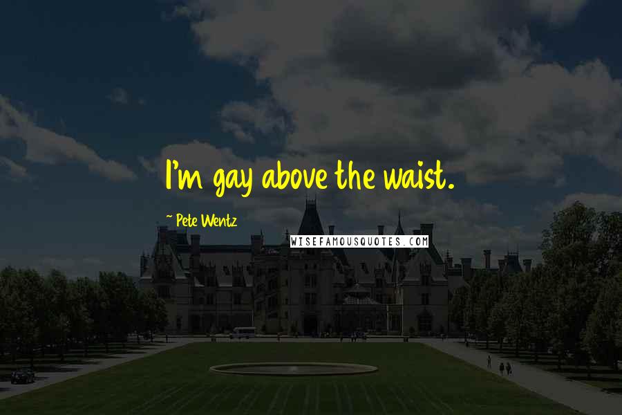 Pete Wentz quotes: I'm gay above the waist.