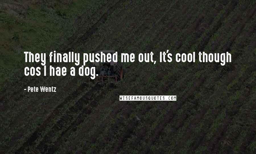 Pete Wentz quotes: They finally pushed me out, It's cool though cos I hae a dog.