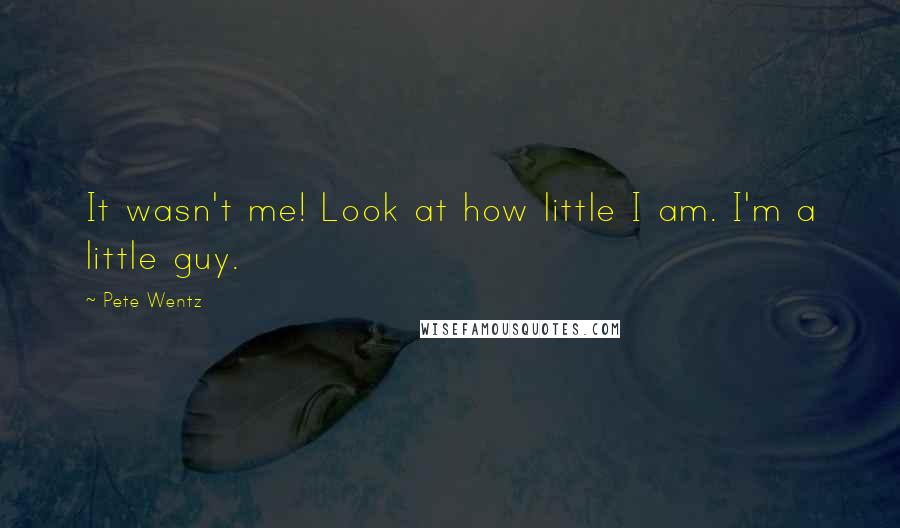 Pete Wentz quotes: It wasn't me! Look at how little I am. I'm a little guy.