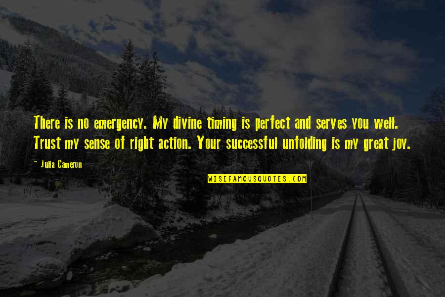 Petek Donmez Quotes By Julia Cameron: There is no emergency. My divine timing is Petek Donmez Quotes By Julia Cameron: There is no emergency. My divine timing is