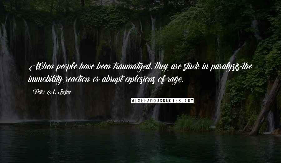 Peter A. Levine quotes: When people have been traumatized, they are stuck in paralysis-the immobility reaction or abrupt explosions of rage. Peter A. Levine quotes: When people have been traumatized, they are stuck in paralysis-the immobility reaction or abrupt explosions of rage.
