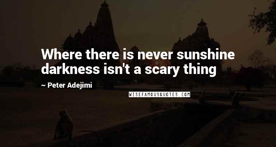 Peter Adejimi quotes: Where there is never sunshine darkness isn't a scary thing