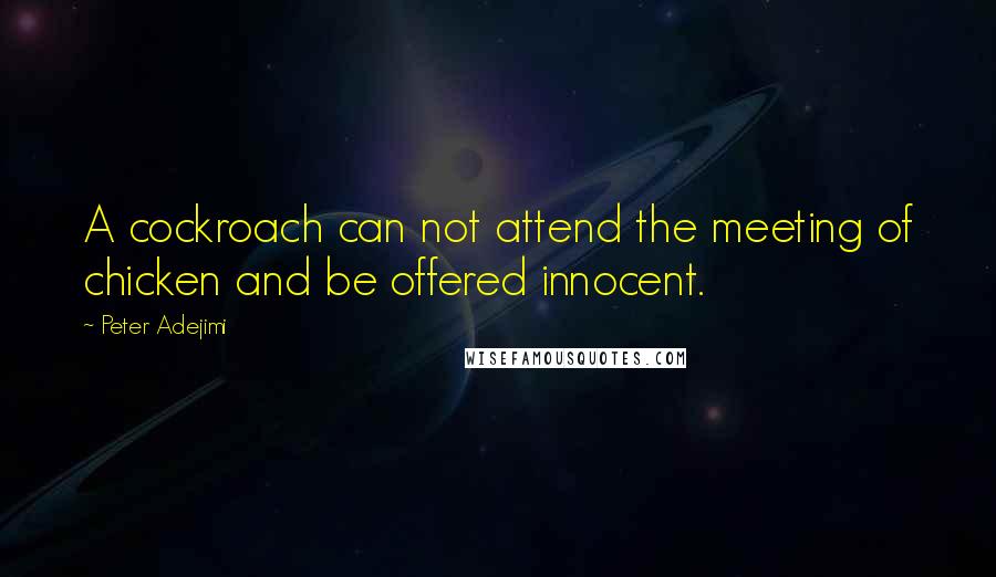 Peter Adejimi quotes: A cockroach can not attend the meeting of chicken and be offered innocent. Peter Adejimi quotes: A cockroach can not attend the meeting of chicken and be offered innocent.