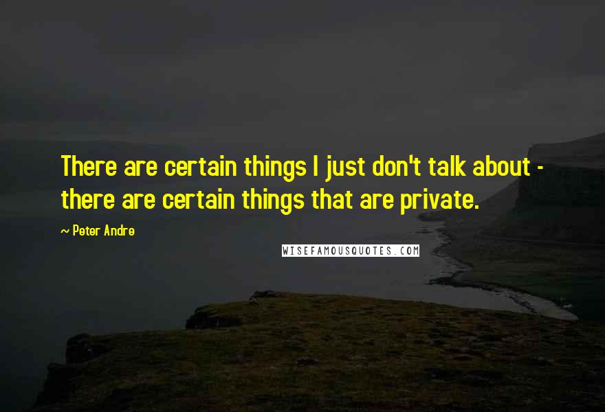 Peter Andre quotes: There are certain things I just don't talk about - there are certain things that are private.