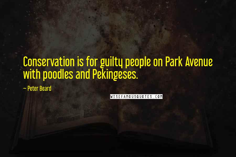 Peter Beard quotes: Conservation is for guilty people on Park Avenue with poodles and Pekingeses.