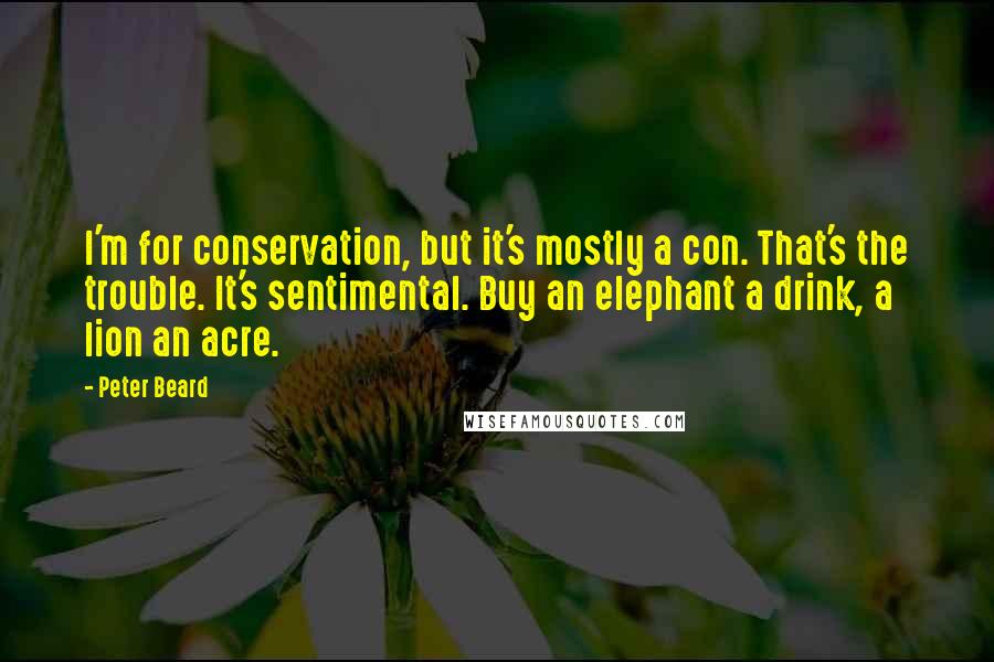 Peter Beard quotes: I'm for conservation, but it's mostly a con. That's the trouble. It's sentimental. Buy an elephant a drink, a lion an acre.