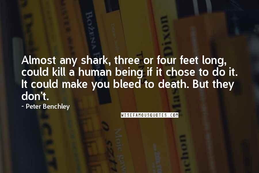 Peter Benchley quotes: Almost any shark, three or four feet long, could kill a human being if it chose to do it. It could make you bleed to death. But they don't.