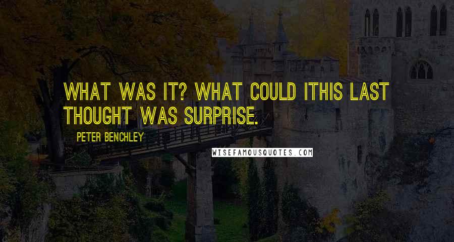 Peter Benchley quotes: What was it? What could itHis last thought was surprise.