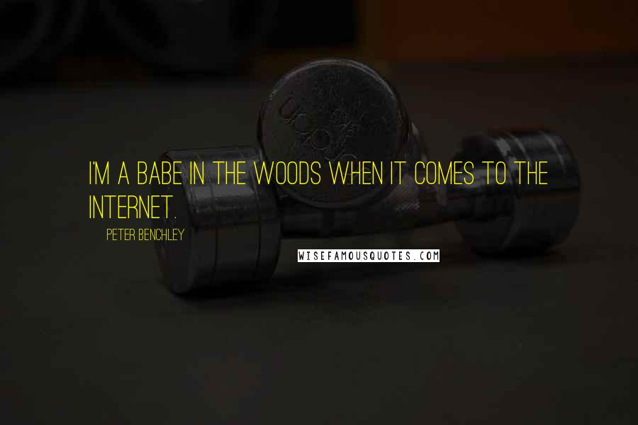 Peter Benchley quotes: I'm a babe in the woods when it comes to the Internet.