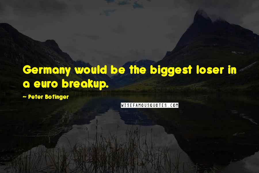 Peter Bofinger quotes: Germany would be the biggest loser in a euro breakup.