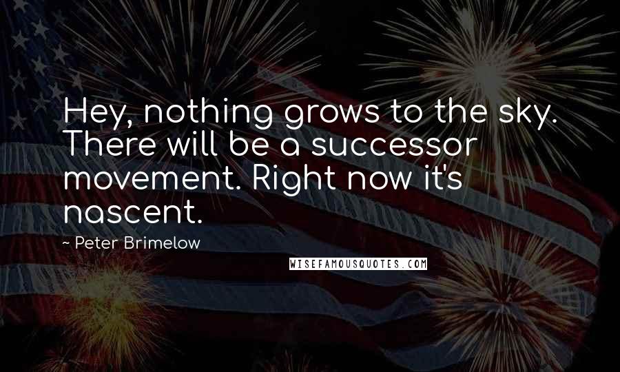 Peter Brimelow quotes: Hey, nothing grows to the sky. There will be a successor movement. Right now it's nascent.