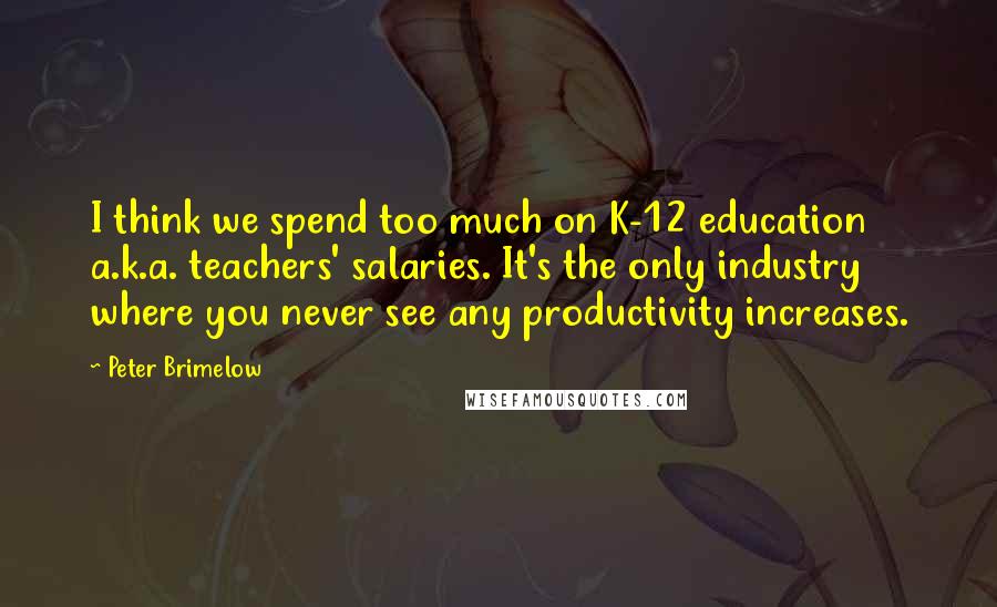 Peter Brimelow quotes: I think we spend too much on K-12 education a.k.a. teachers' salaries. It's the only industry where you never see any productivity increases.