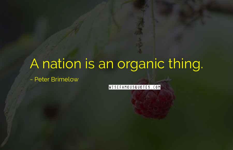 Peter Brimelow quotes: A nation is an organic thing.