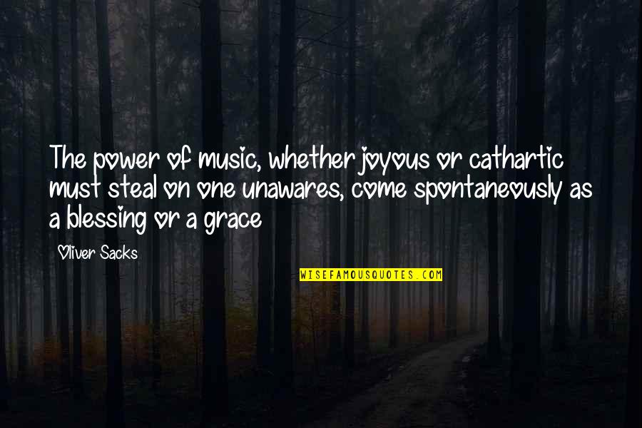 Peter Budaj Quotes By Oliver Sacks: The power of music, whether joyous or cathartic