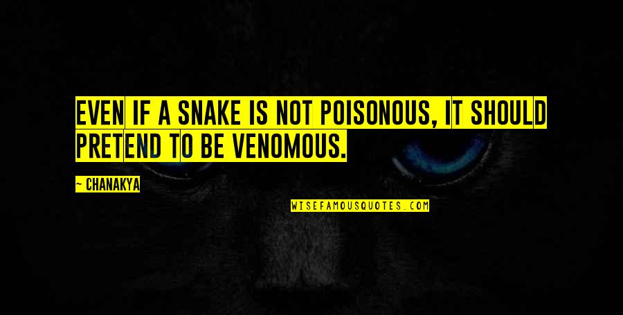 Peter Busby Quotes By Chanakya: Even if a snake is not poisonous, it