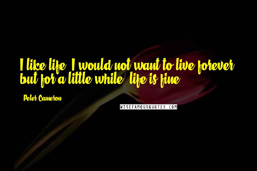 Peter Cameron quotes: I like life. I would not want to live forever, but for a little while, life is fine.