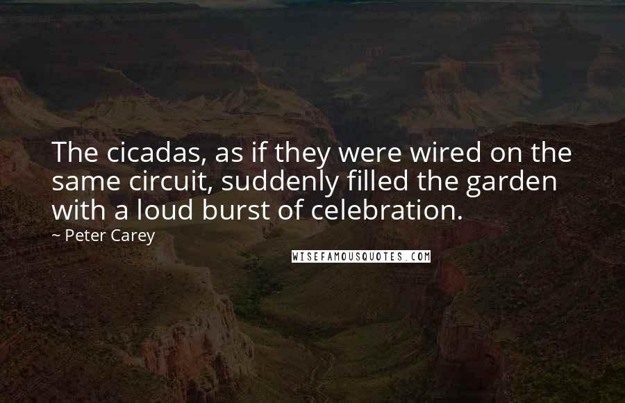 Peter Carey quotes: The cicadas, as if they were wired on the same circuit, suddenly filled the garden with a loud burst of celebration. Peter Carey quotes: The cicadas, as if they were wired on the same circuit, suddenly filled the garden with a loud burst of celebration.