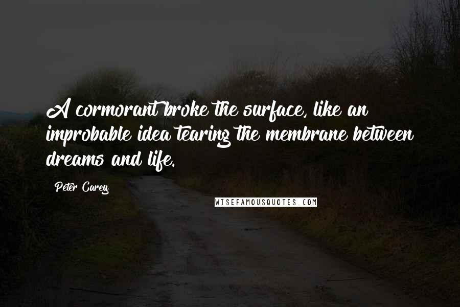 Peter Carey quotes: A cormorant broke the surface, like an improbable idea tearing the membrane between dreams and life.