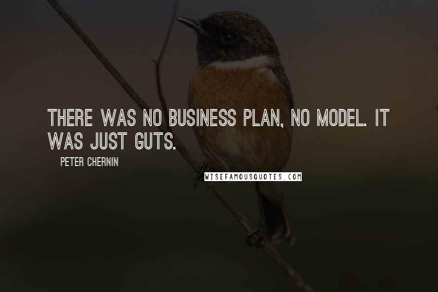 Peter Chernin quotes: There was no business plan, no model. It was just guts.