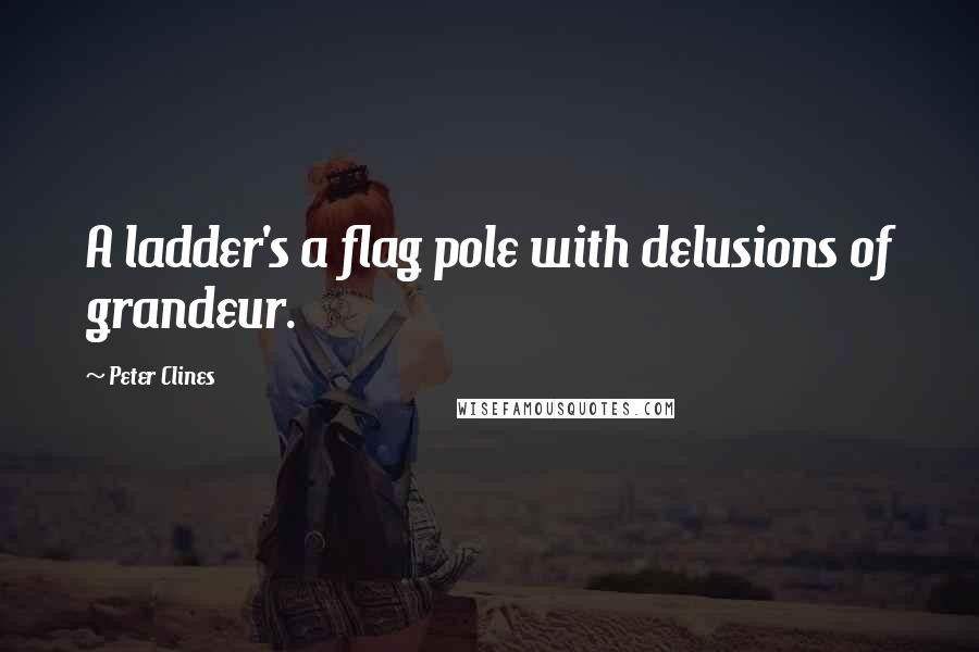 Peter Clines quotes: A ladder's a flag pole with delusions of grandeur.