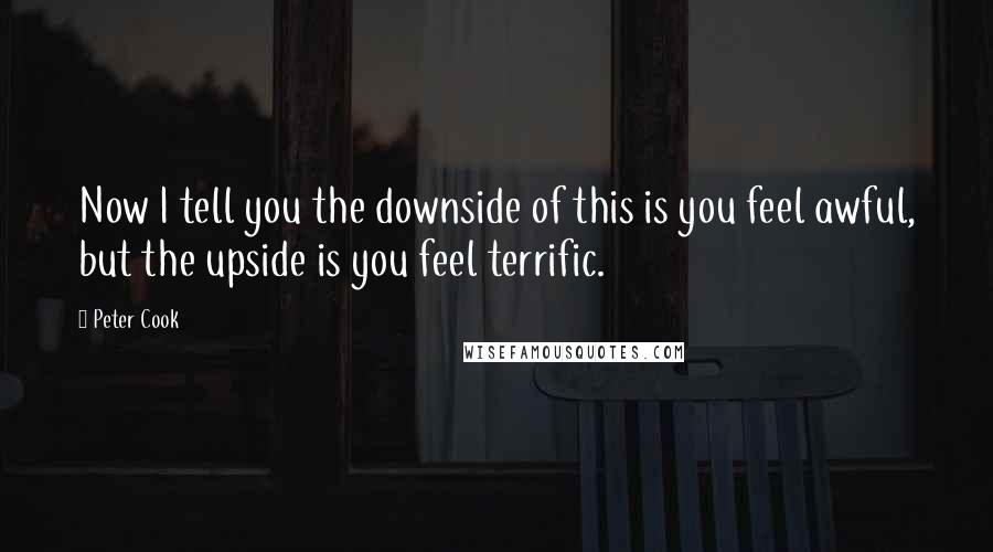 Peter Cook quotes: Now I tell you the downside of this is you feel awful, but the upside is you feel terrific. Peter Cook quotes: Now I tell you the downside of this is you feel awful, but the upside is you feel terrific.