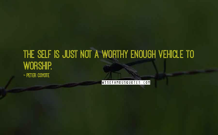 Peter Coyote quotes: The self is just not a worthy enough vehicle to worship.