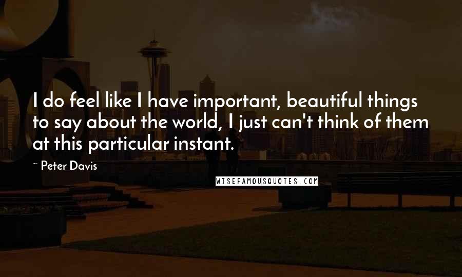 Peter Davis quotes: I do feel like I have important, beautiful things to say about the world, I just can't think of them at this particular instant.