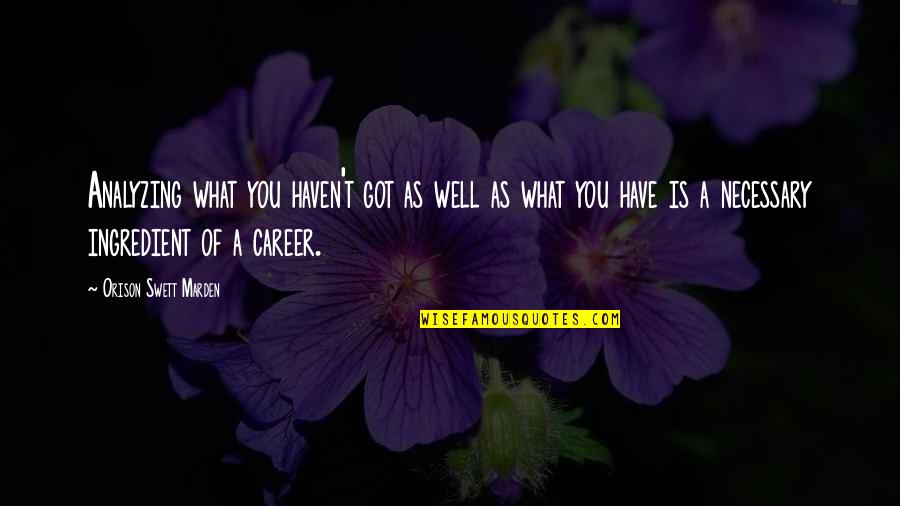Peter De Villiers Funny Quotes By Orison Swett Marden: Analyzing what you haven't got as well as Peter De Villiers Funny Quotes By Orison Swett Marden: Analyzing what you haven't got as well as