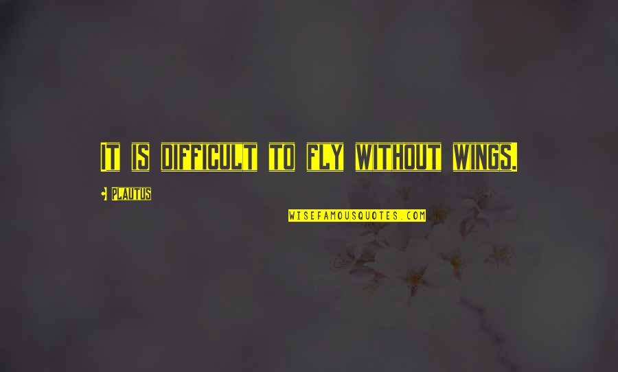 Peter Drucker Turbulence Quote Quotes By Plautus: It is difficult to fly without wings. Peter Drucker Turbulence Quote Quotes By Plautus: It is difficult to fly without wings.