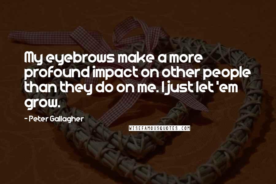 Peter Gallagher quotes: My eyebrows make a more profound impact on other people than they do on me. I just let 'em grow.