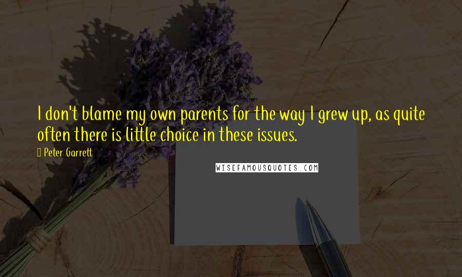 Peter Garrett quotes: I don't blame my own parents for the way I grew up, as quite often there is little choice in these issues.