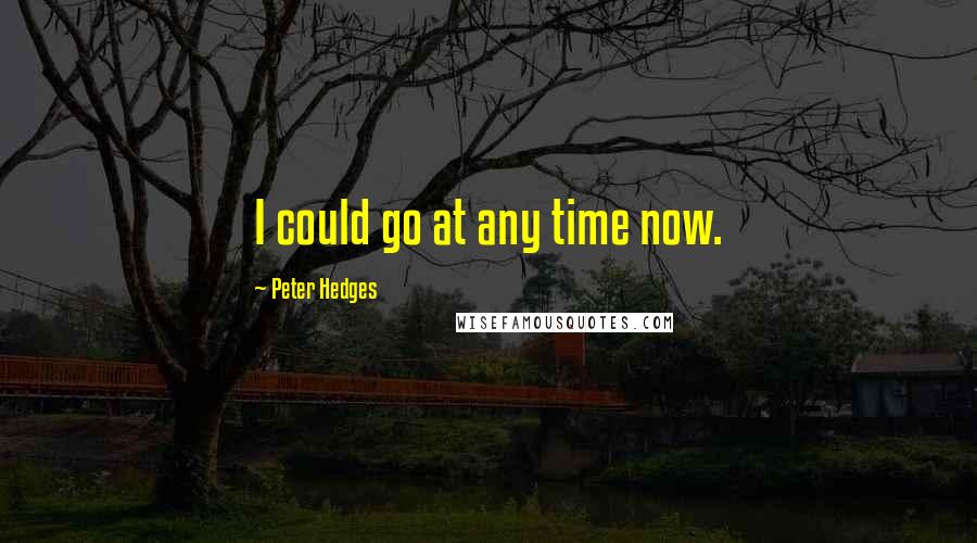 Peter Hedges quotes: I could go at any time now.