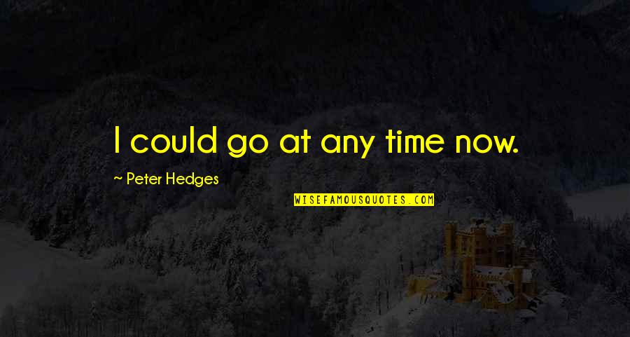 Peter Hedges Quotes By Peter Hedges: I could go at any time now.