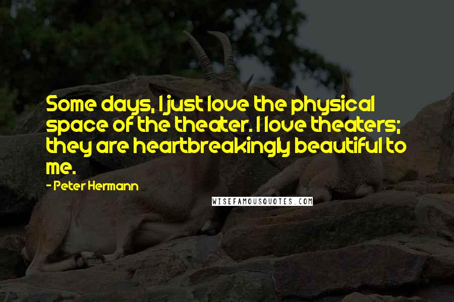 Peter Hermann quotes: Some days, I just love the physical space of the theater. I love theaters; they are heartbreakingly beautiful to me.