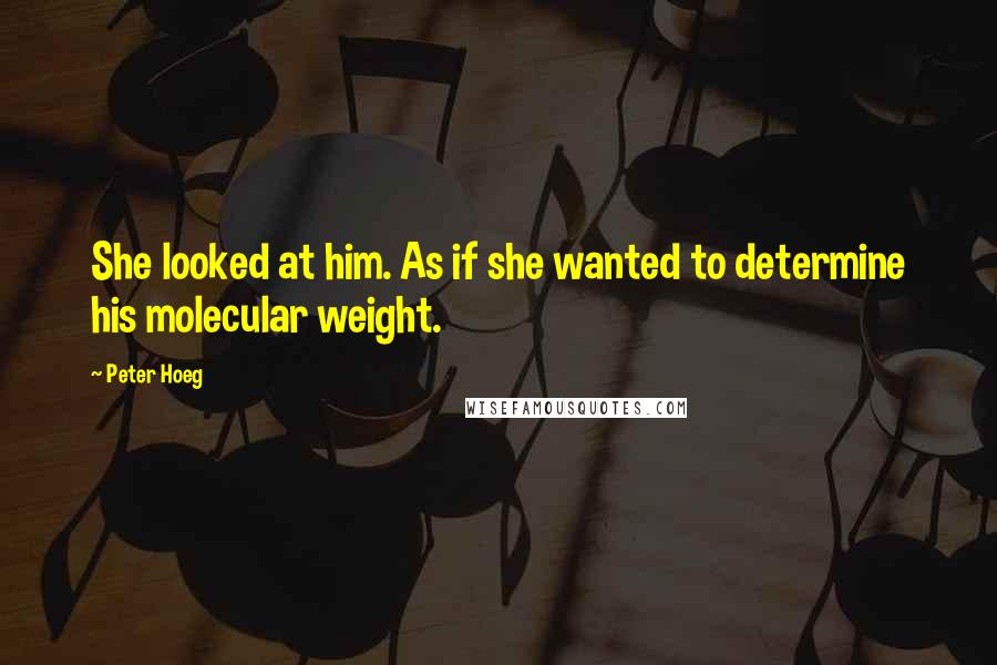 Peter Hoeg quotes: She looked at him. As if she wanted to determine his molecular weight.