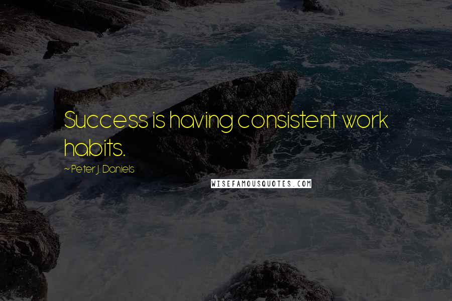 Peter J. Daniels quotes: Success is having consistent work habits.