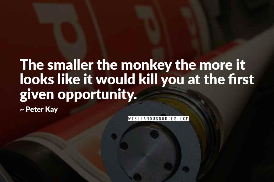 Peter Kay quotes: The smaller the monkey the more it looks like it would kill you at the first given opportunity.