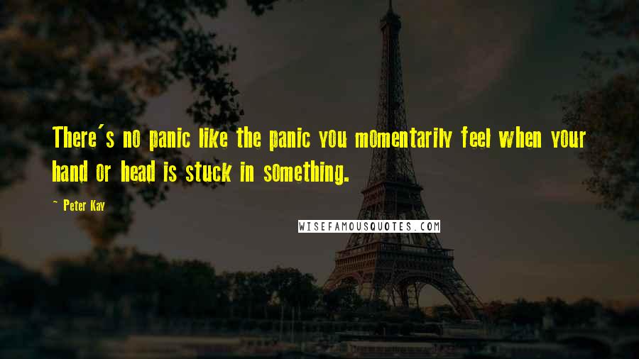 Peter Kay quotes: There's no panic like the panic you momentarily feel when your hand or head is stuck in something.