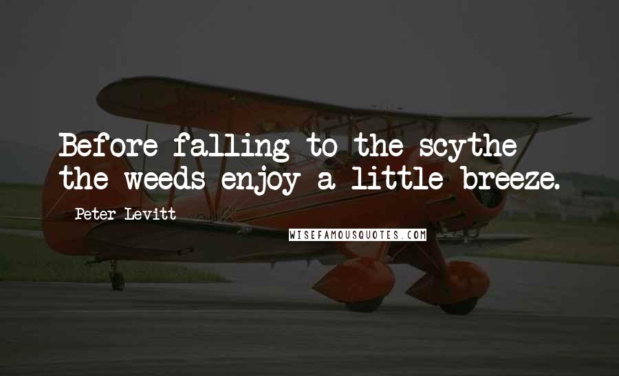 Peter Levitt quotes: Before falling to the scythe the weeds enjoy a little breeze.
