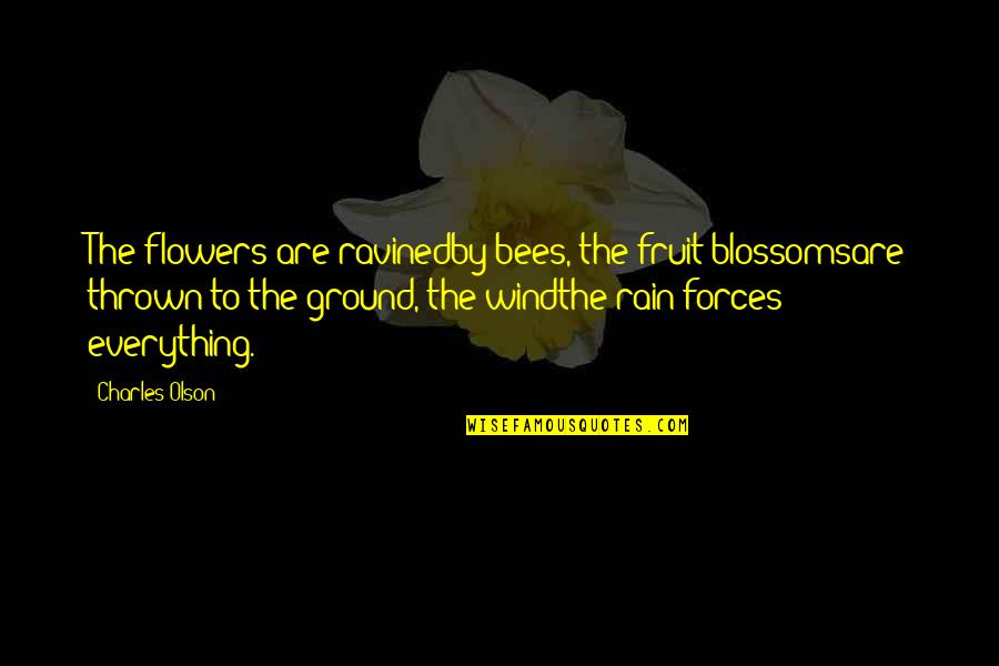 Peter Lik Quotes By Charles Olson: The flowers are ravinedby bees, the fruit blossomsare Peter Lik Quotes By Charles Olson: The flowers are ravinedby bees, the fruit blossomsare