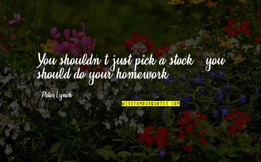 Peter Lynch Quotes By Peter Lynch: You shouldn't just pick a stock - you