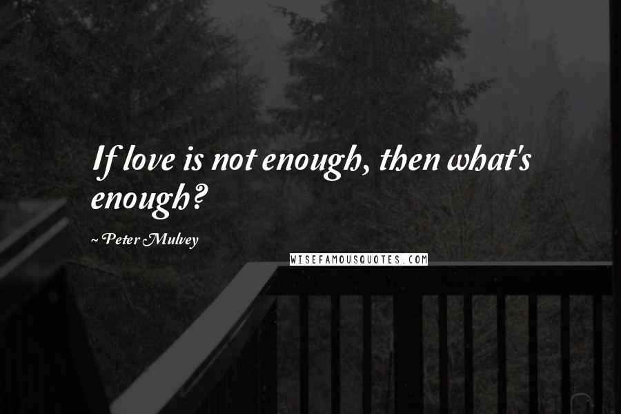 Peter Mulvey quotes: If love is not enough, then what's enough?