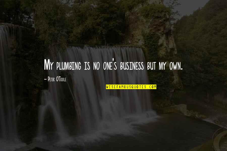 Peter O'toole Quotes By Peter O'Toole: My plumbing is no one's business but my Peter O'toole Quotes By Peter O'Toole: My plumbing is no one's business but my