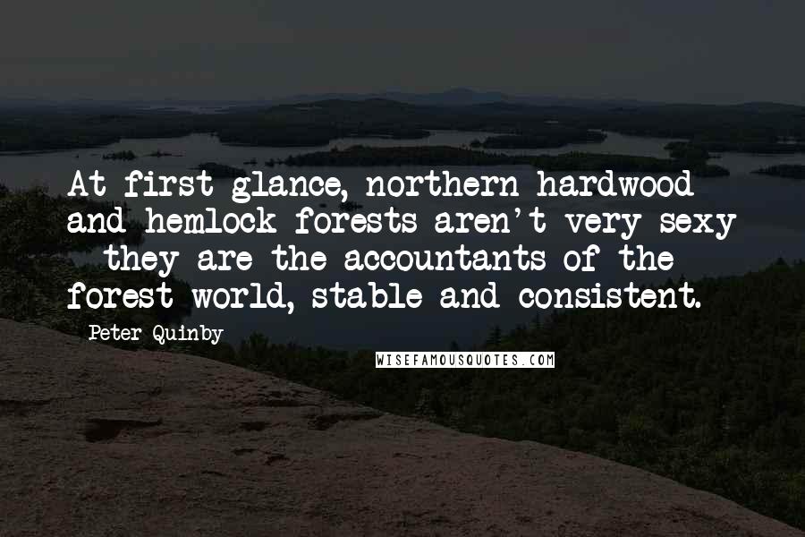 Peter Quinby quotes: At first glance, northern hardwood and hemlock forests aren't very sexy - they are the accountants of the forest world, stable and consistent.