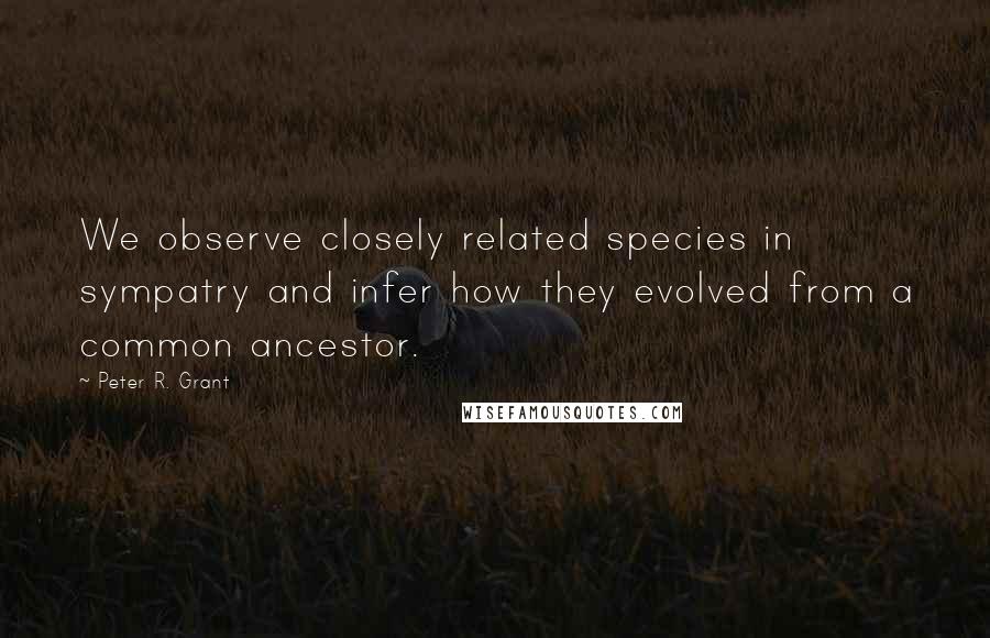 Peter R. Grant quotes: We observe closely related species in sympatry and infer how they evolved from a common ancestor.