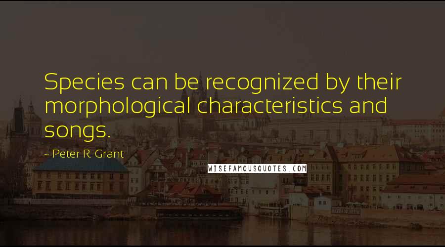 Peter R. Grant quotes: Species can be recognized by their morphological characteristics and songs.