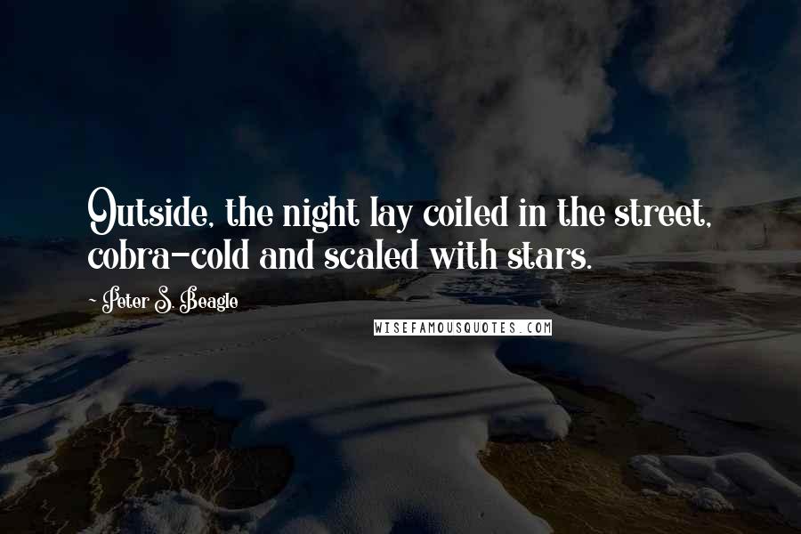 Peter S. Beagle quotes: Outside, the night lay coiled in the street, cobra-cold and scaled with stars.